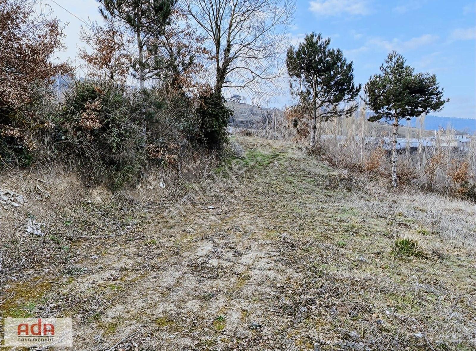 Ada Gayrimenkulden Geyve Hırka Mah.2780m2 Fırsat Arazimiz - Görsel 5