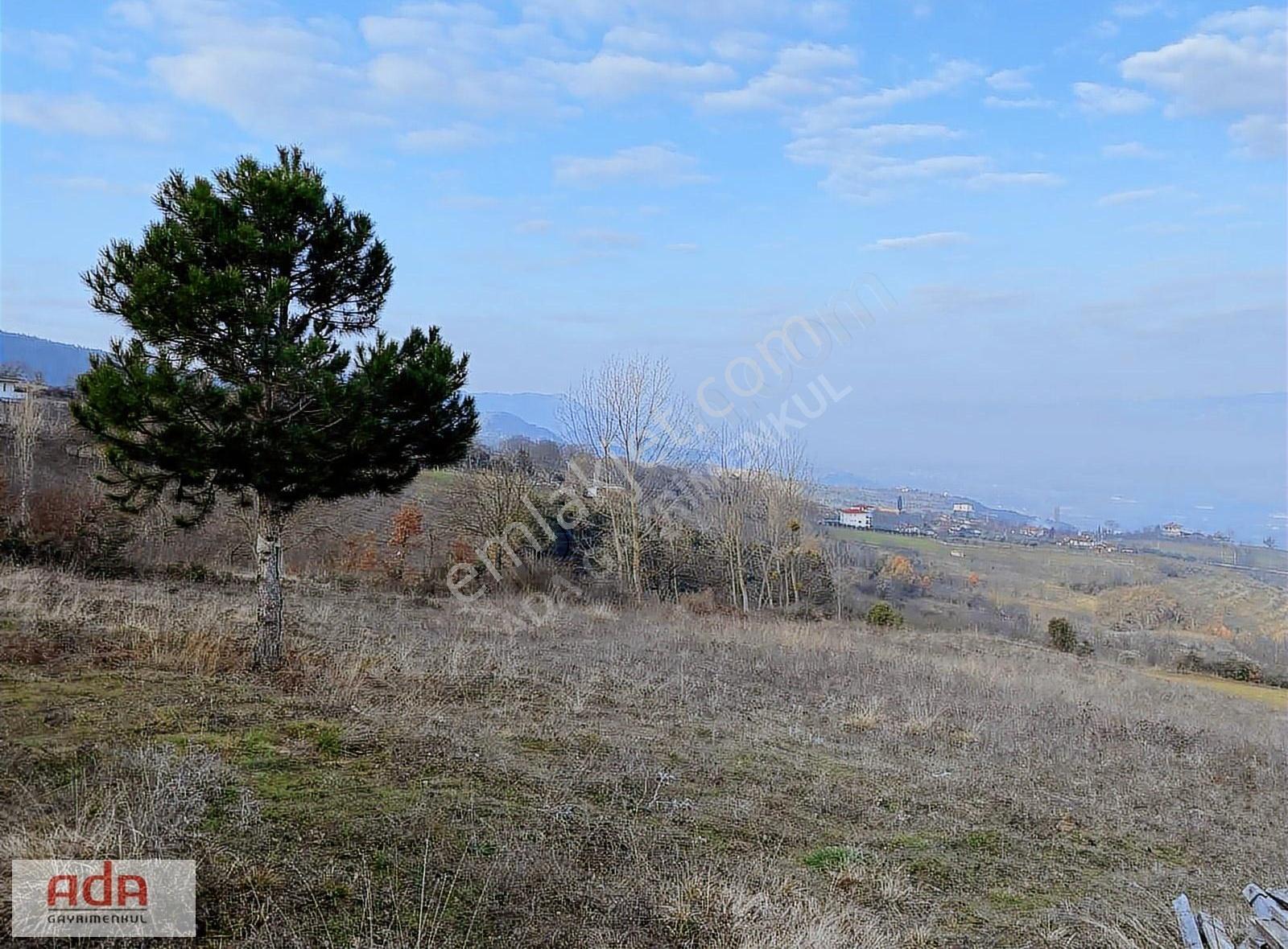 Ada Gayrimenkulden Geyve Hırka Mah.2780m2 Fırsat Arazimiz - Görsel 3