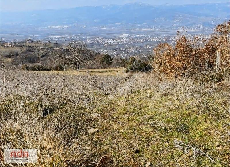 Ada Gayrimenkulden Geyve Hırka Mah.2780m2 Fırsat Arazimiz - Görsel 11