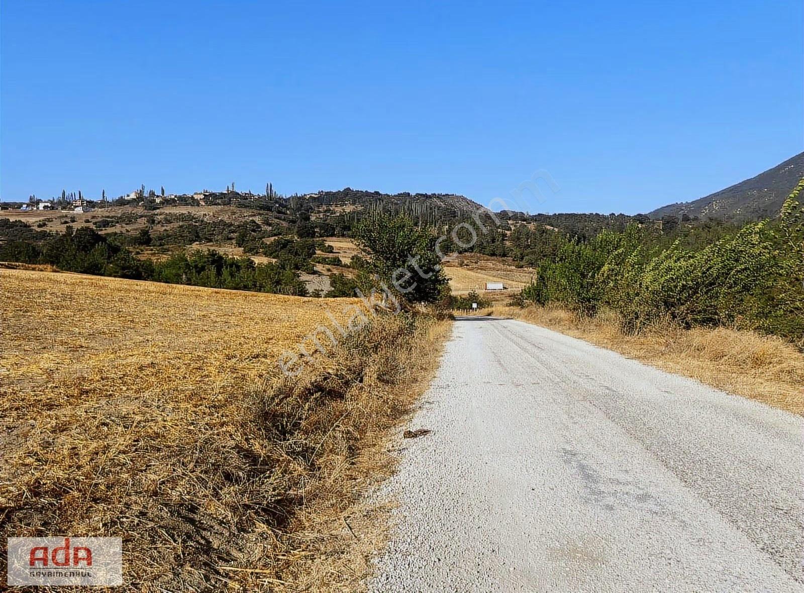 Ada Gayrimenkulden 1100m2 Yerleşime Yola Yakın Manzaralı - Görsel 7