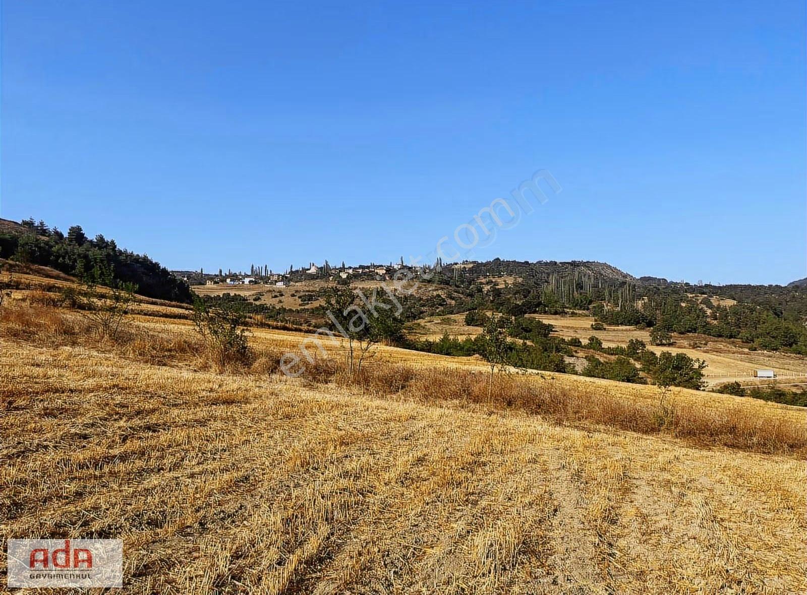 Ada Gayrimenkulden 1100m2 Yerleşime Yola Yakın Manzaralı - Görsel 5