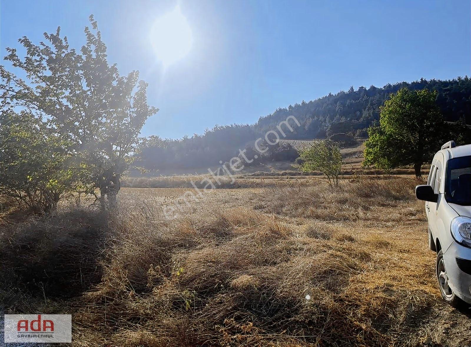 Ada Gayrimenkulden 1100m2 Yerleşime Yola Yakın Manzaralı - Görsel 3
