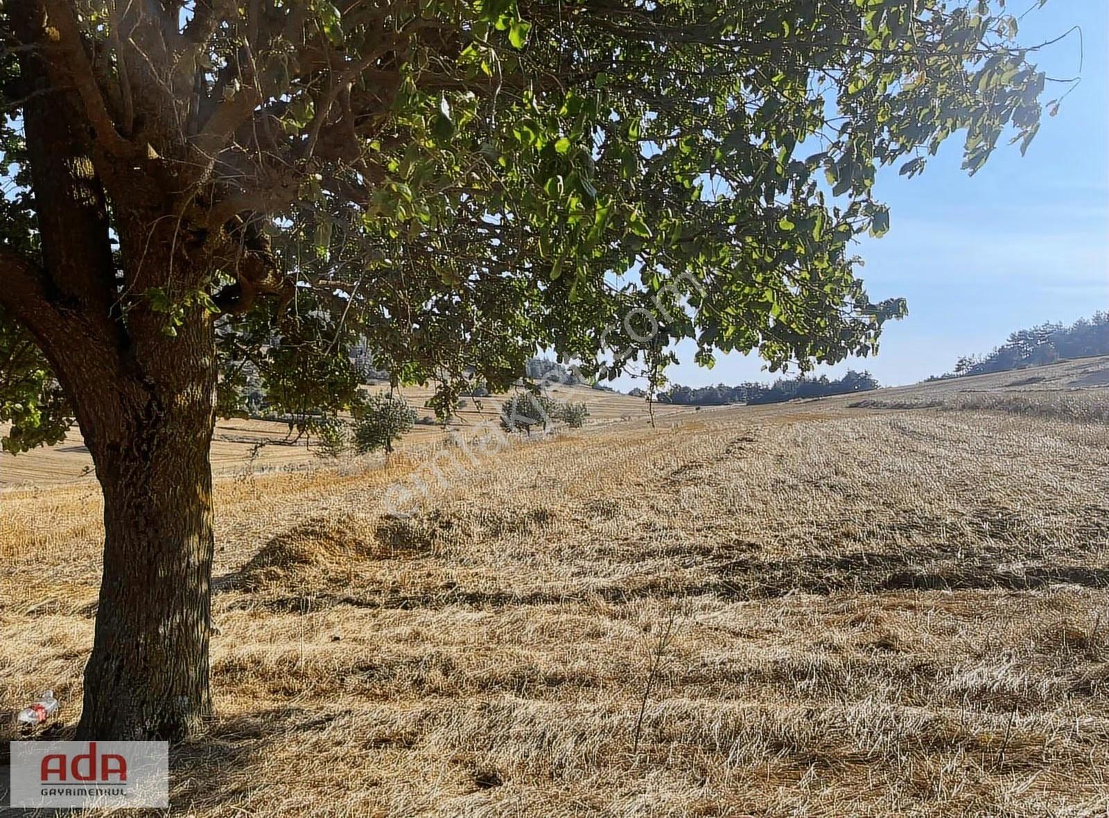 Ada Gayrimenkulden 1100m2 Yerleşime Yola Yakın Manzaralı - Görsel 9