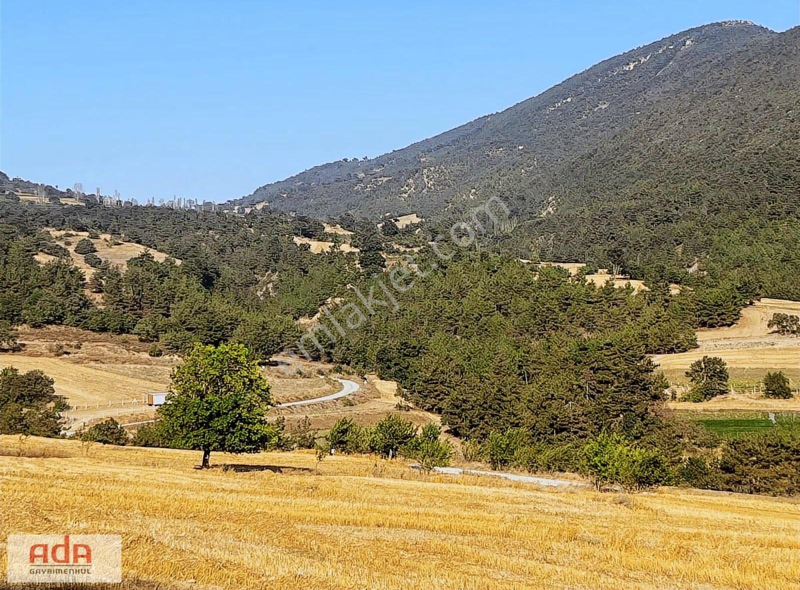 Ada Gayrimenkulden 1100m2 Yerleşime Yola Yakın Manzaralı - Görsel 2