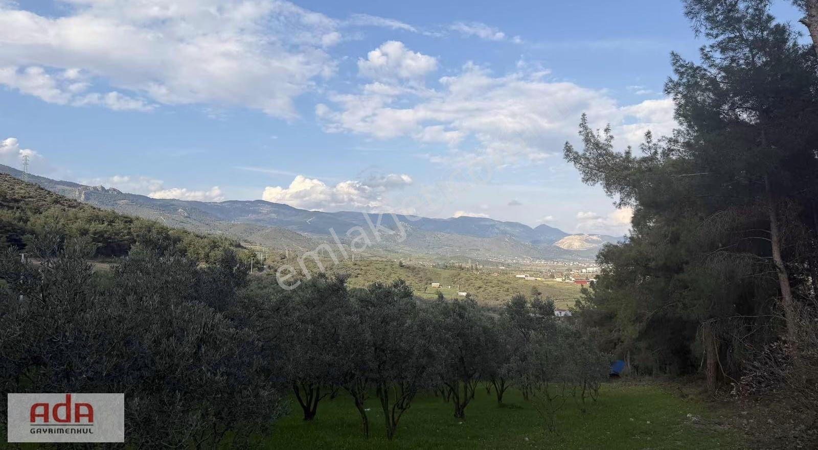 Manzaralı Satılık Müstakil Zeytin Bahçesi Şeyhvarmaz, Pamukova - Görsel 6