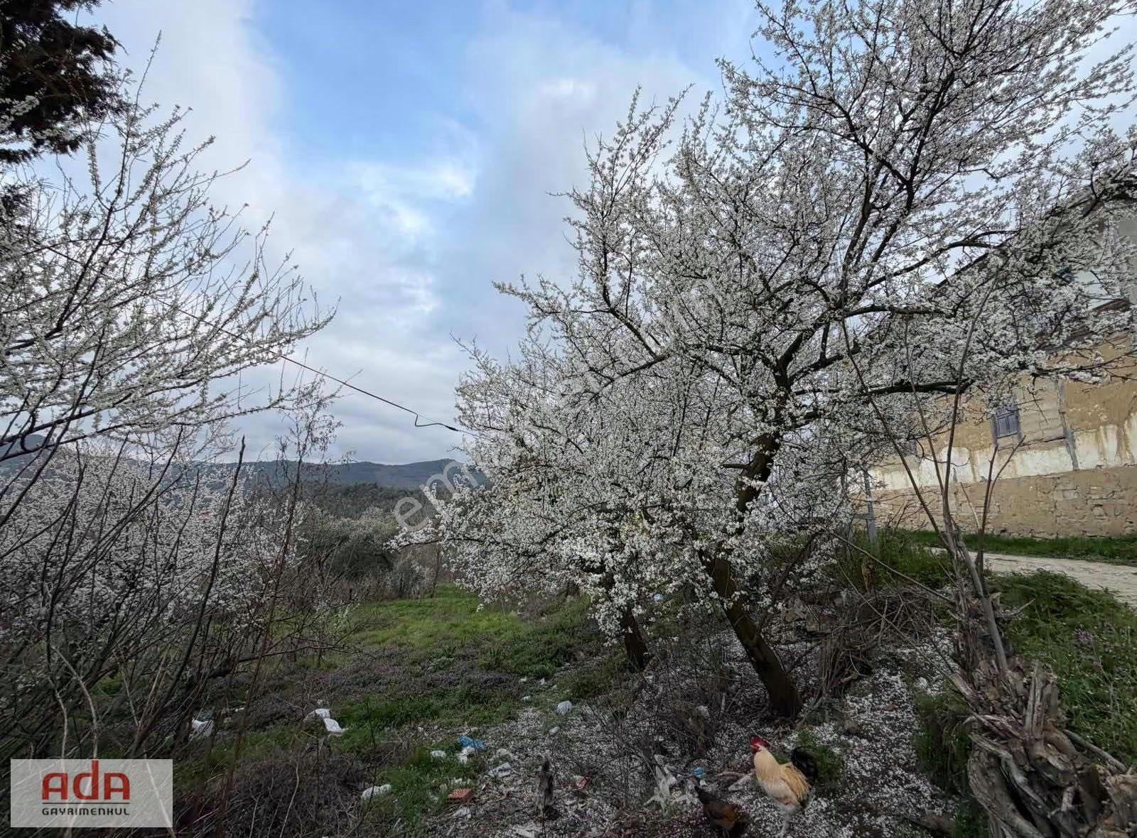 Geyve Çamlıkta Yatırımlık 511m2 %40 İmarlı Arsa - Görsel 7