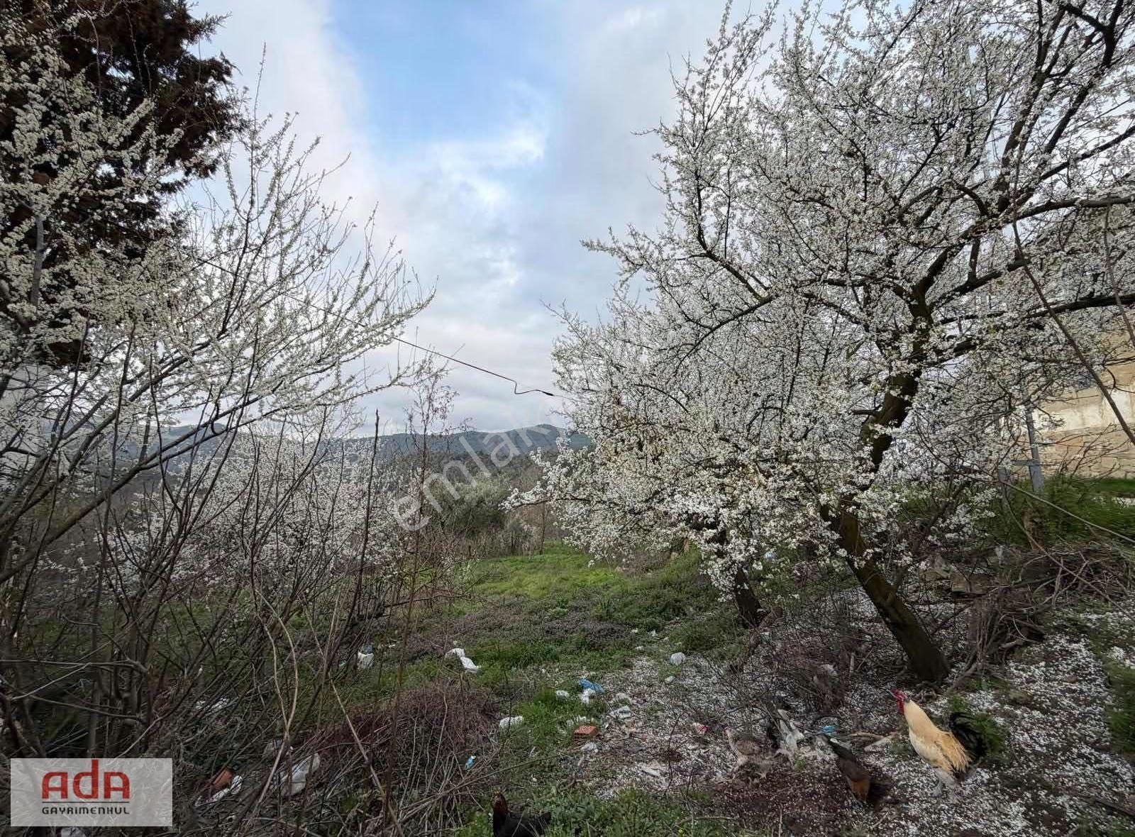 Geyve Çamlıkta Yatırımlık 511m2 %40 İmarlı Arsa - Görsel 3