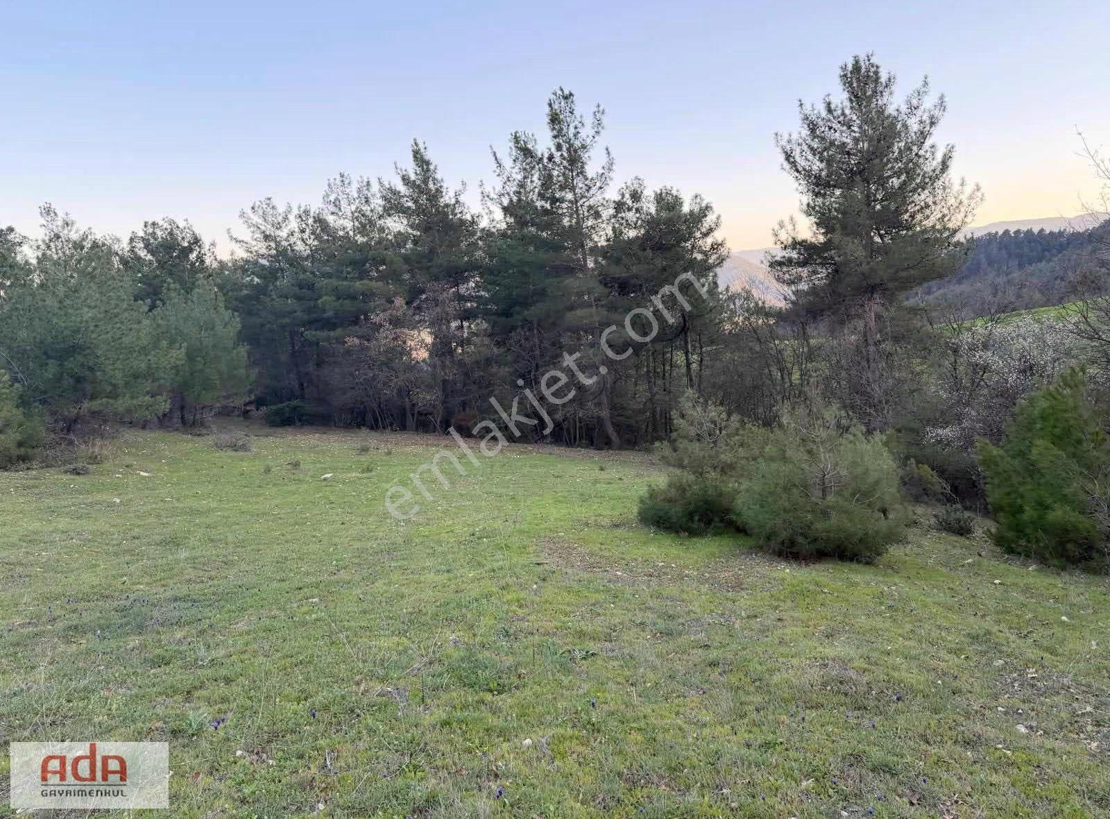 Sakarya Taraklı Avdan Mahallesinde 2.763 M² Yatırımlık Arazi - Görsel 2