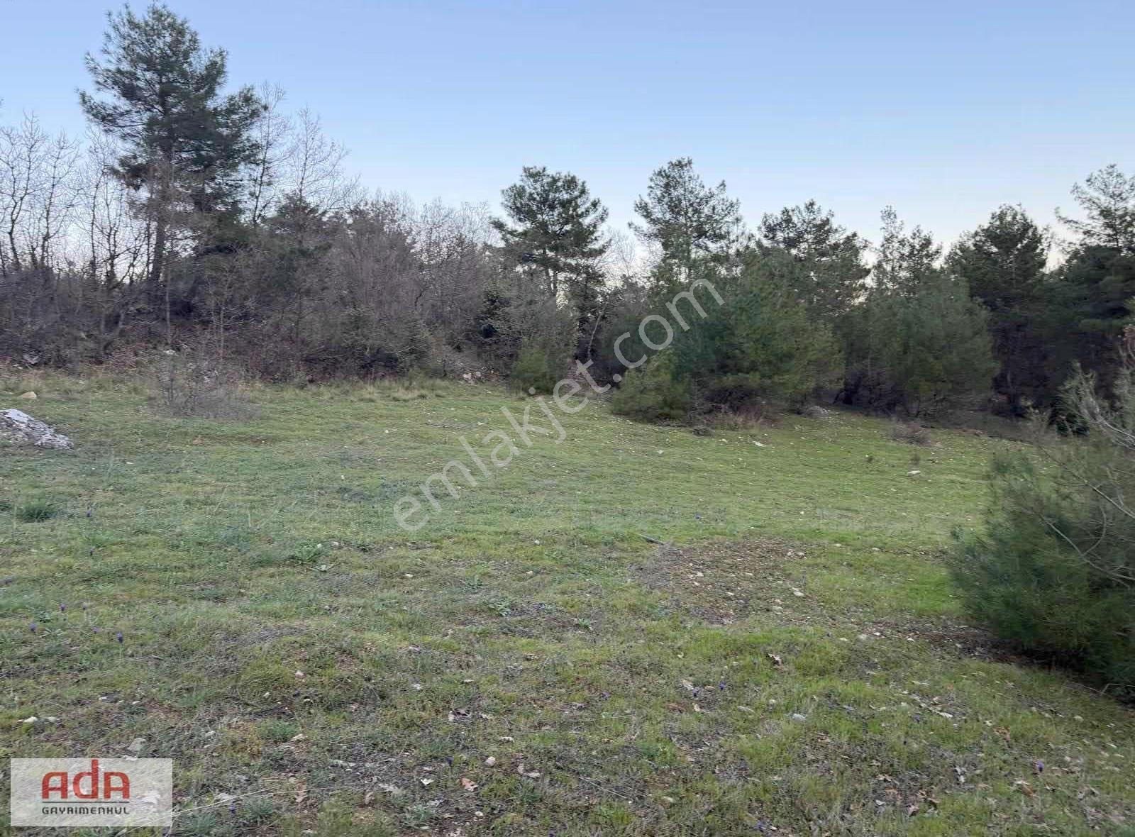 Sakarya Taraklı Avdan Mahallesinde 2.763 M² Yatırımlık Arazi