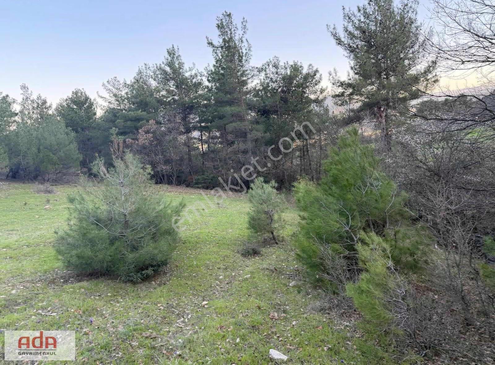 Sakarya Taraklı Avdan Mahallesinde 2.763 M² Yatırımlık Arazi - Görsel 3