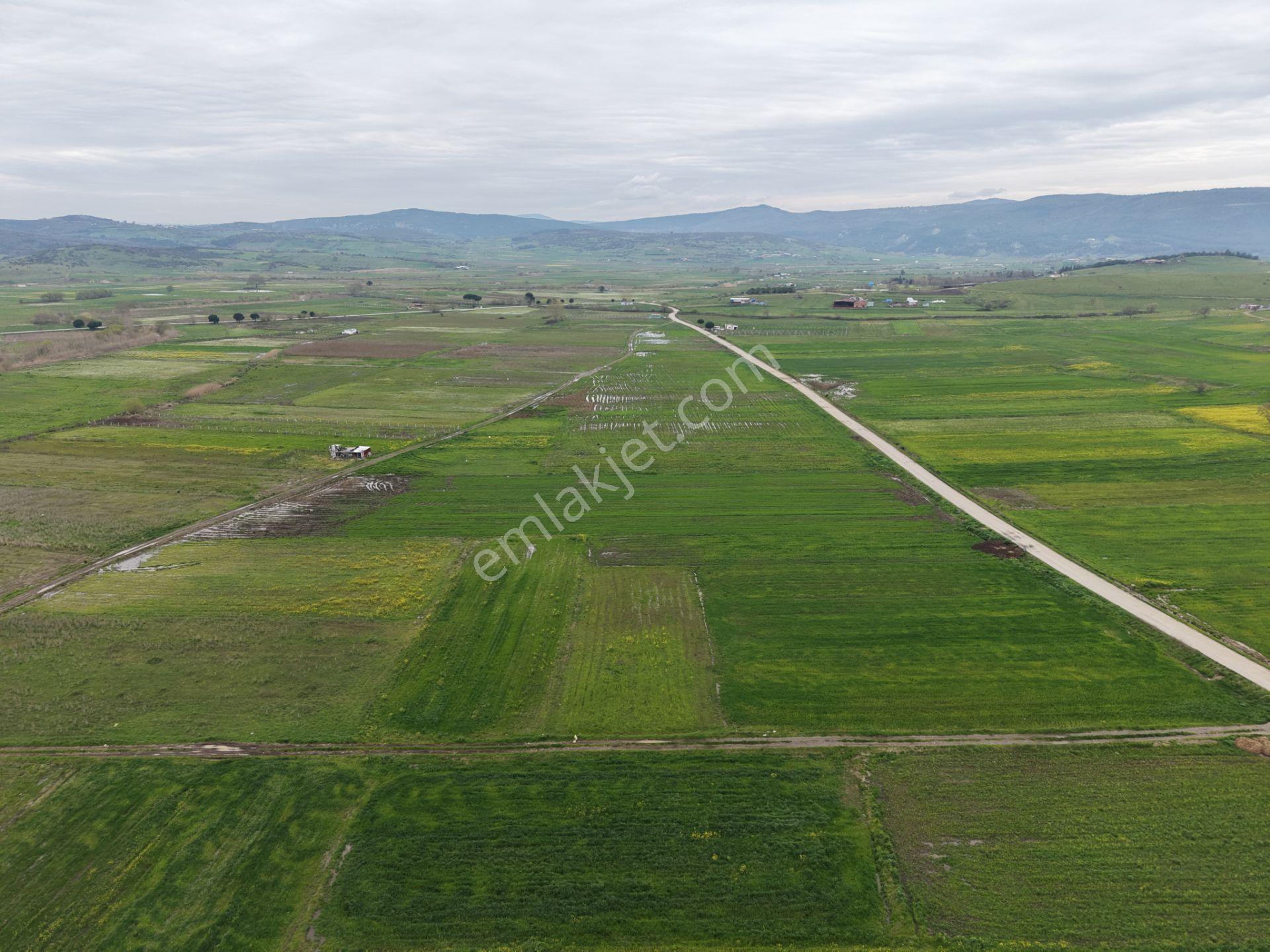 Cb King'den Kocaavşar Mahallesi'nde 2023 M² Satılık Tarla - Görsel 8