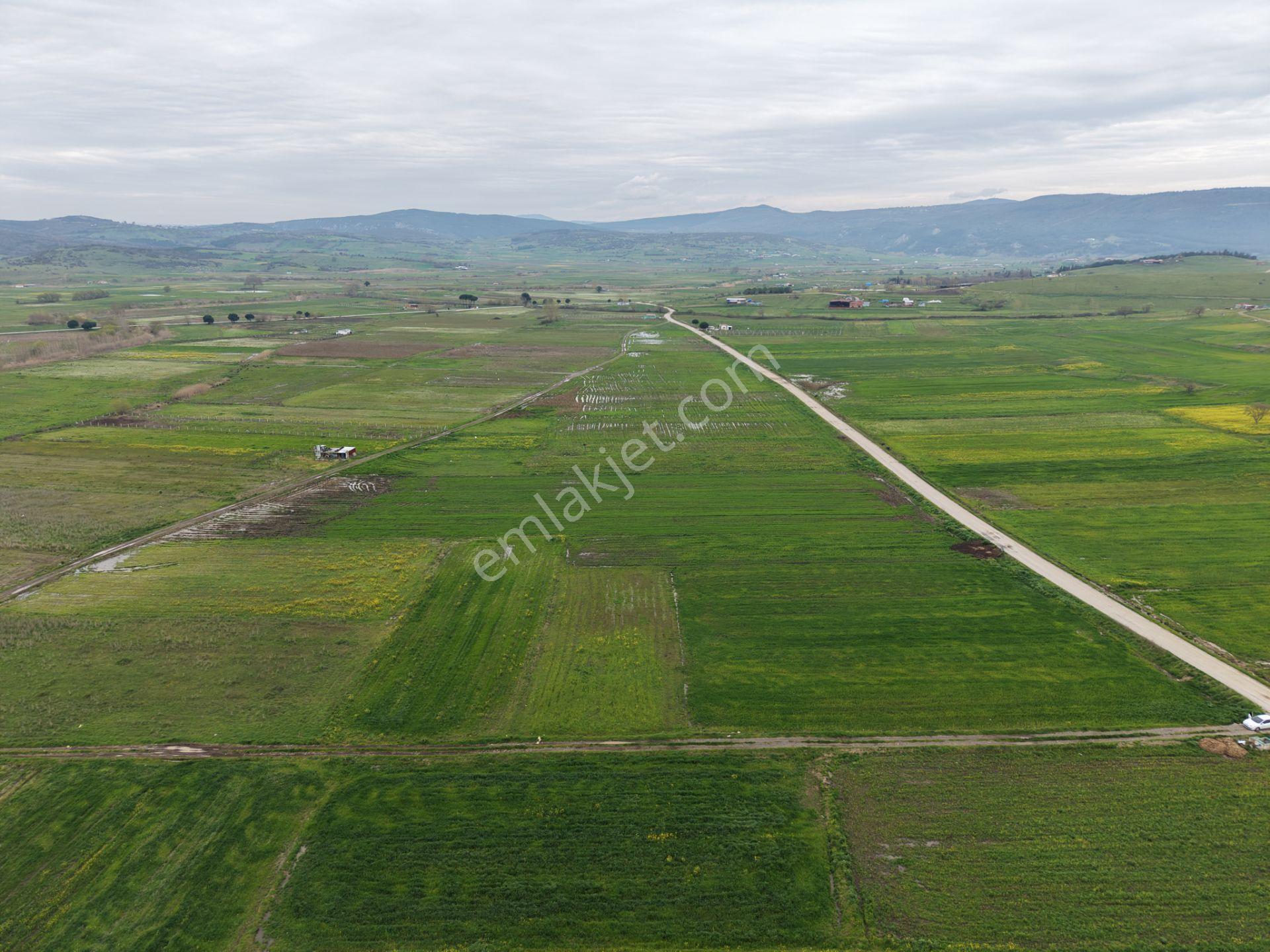Cb King'den Kocaavşar Mahallesi'nde 2023 M² Satılık Tarla - Görsel 7