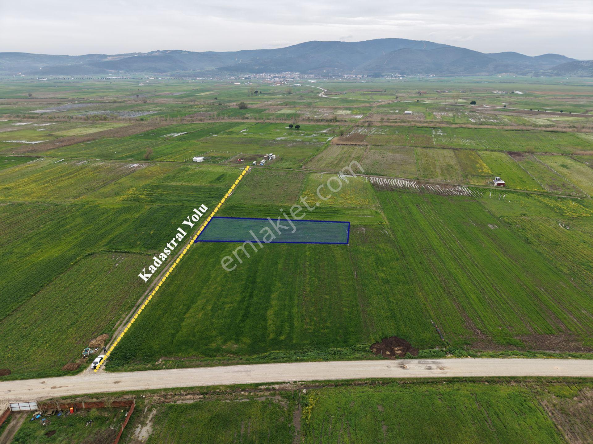Cb King'den Kocaavşar Mahallesi'nde 2023 M² Satılık Tarla - Görsel 2