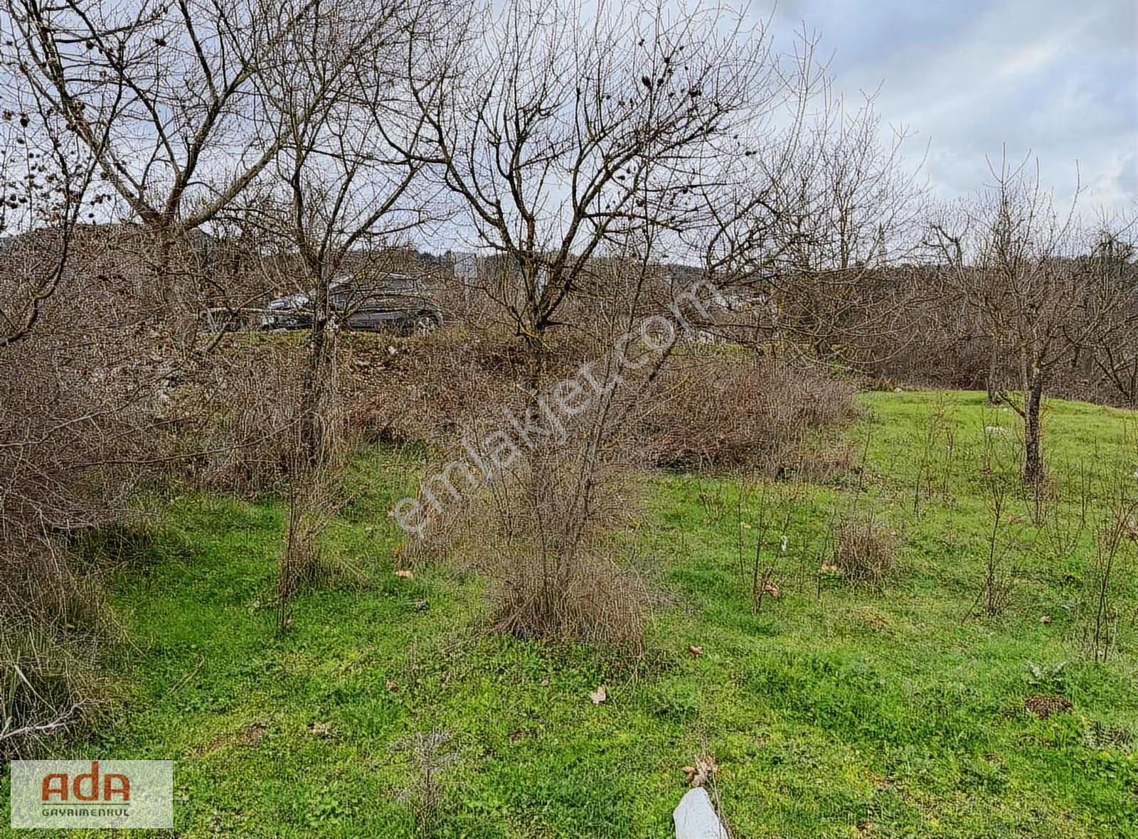 Ada Emlak Geyve Epçeler Mah Nehir Kenarı 1.328m² Müstakil Parsel - Görsel 19