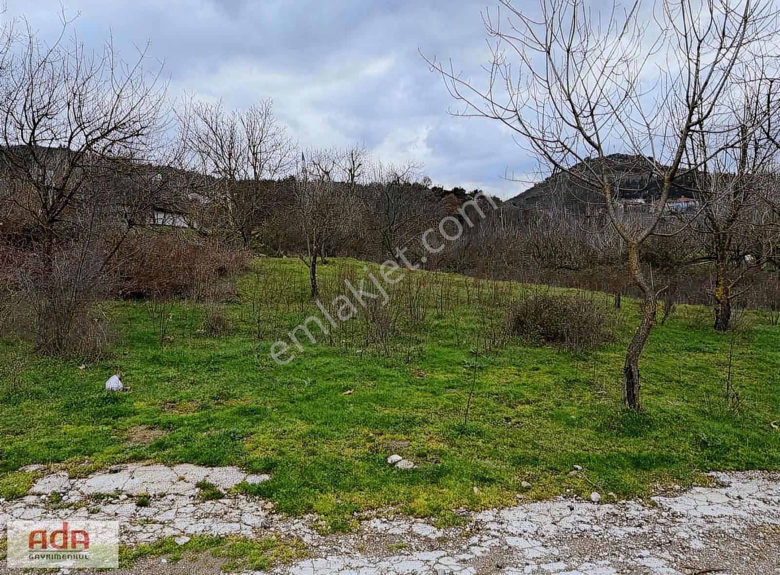 Ada Emlak Geyve Epçeler Mah Nehir Kenarı 1.328m² Müstakil Parsel - Görsel 29