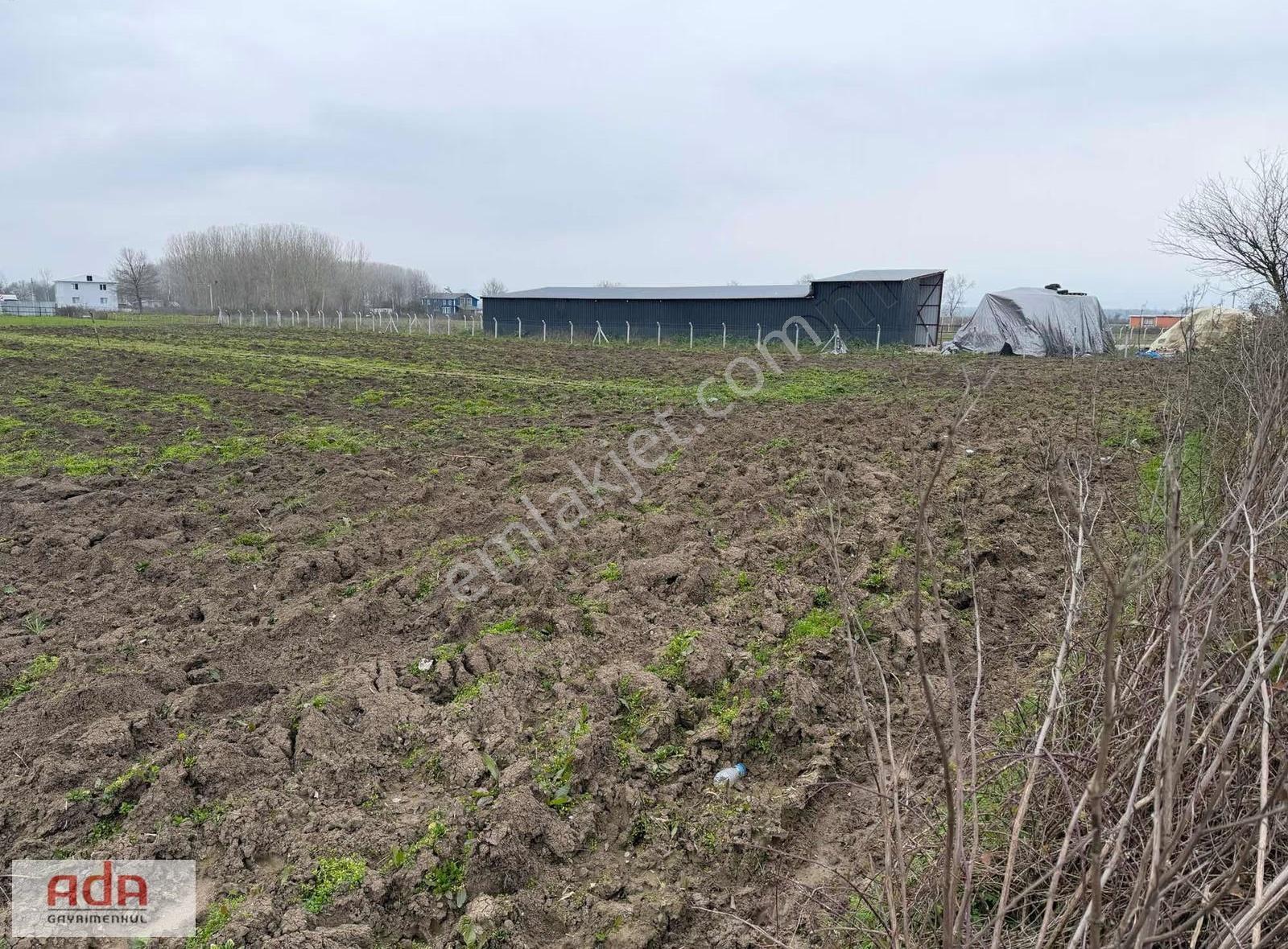 Adapazarı Yeşilyurtta 1090 M² Müstakil Parsel Resmi Yolu Var - Görsel 8