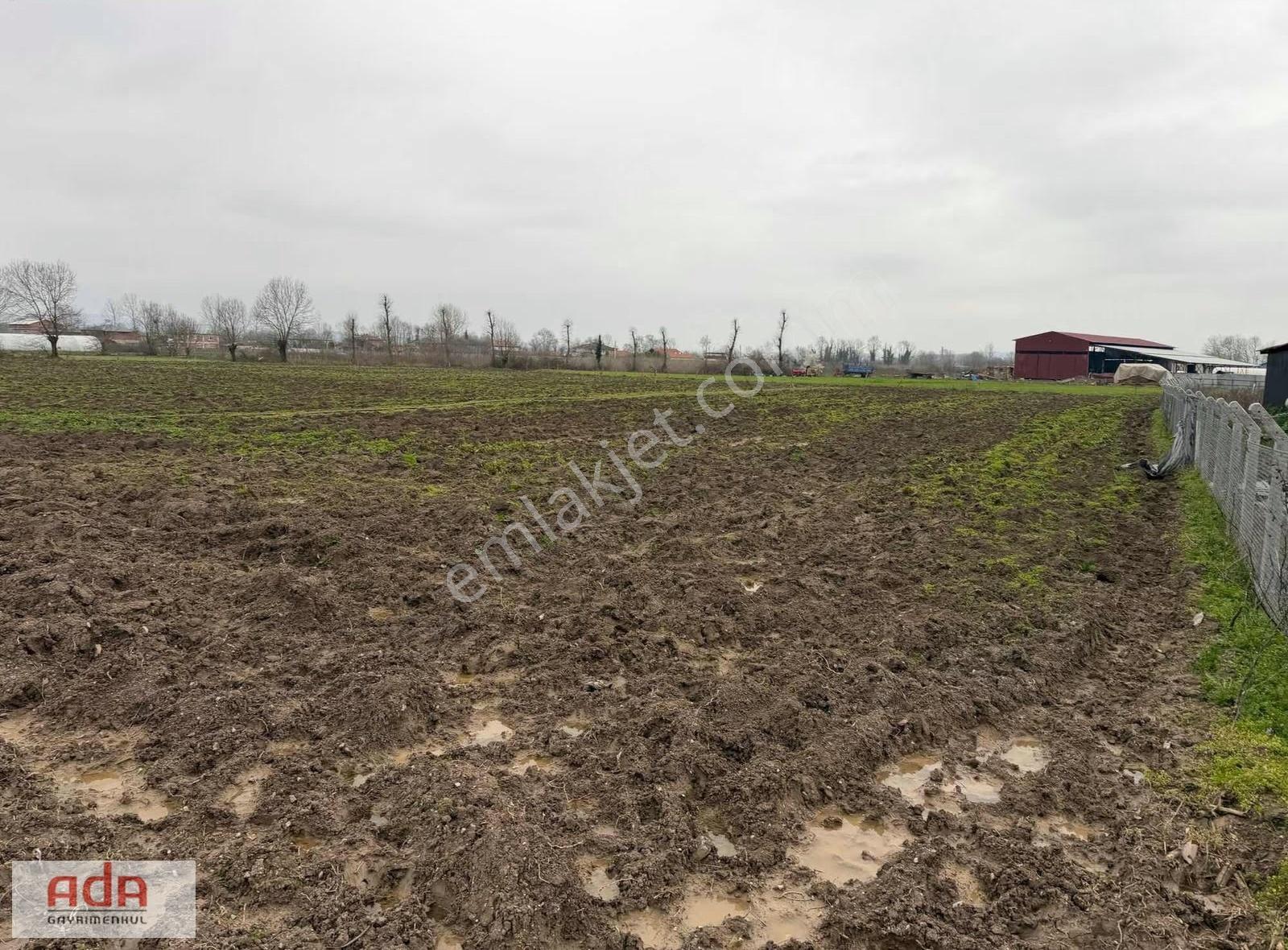 Adapazarı Yeşilyurtta 1090 M² Müstakil Parsel Resmi Yolu Var - Görsel 5