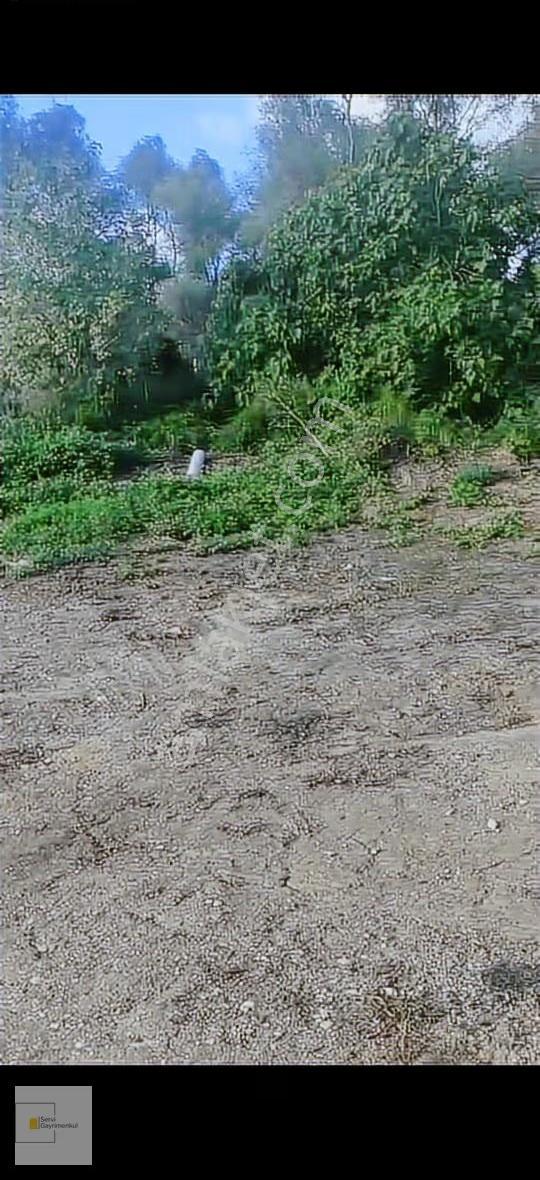 Çatalca Elbasan Mahallesi Nde 293 M2 Yatırımlık Parsel - Görsel 11