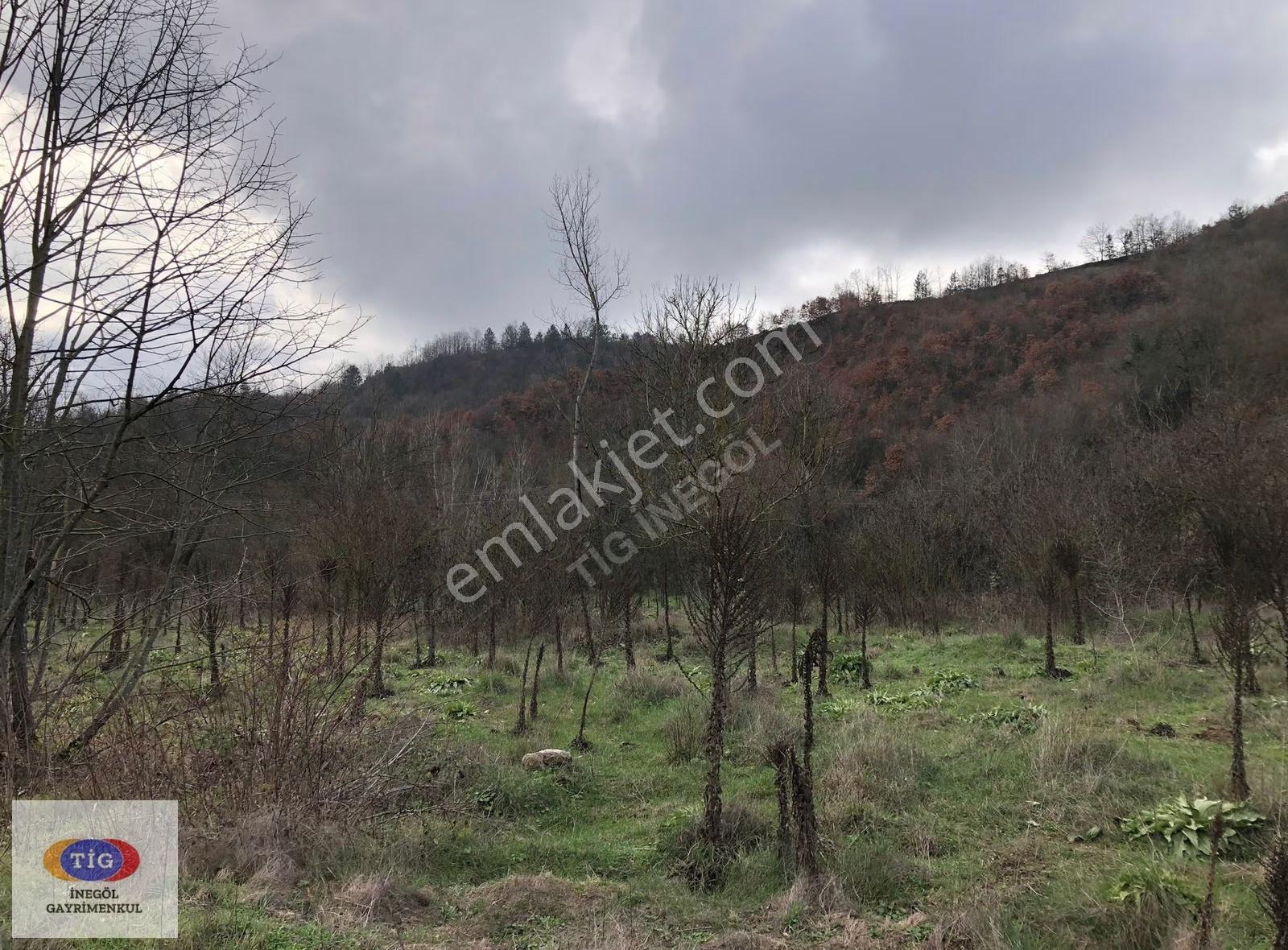 Yeniköyde Tigden Satılık Arazi - Görsel 5