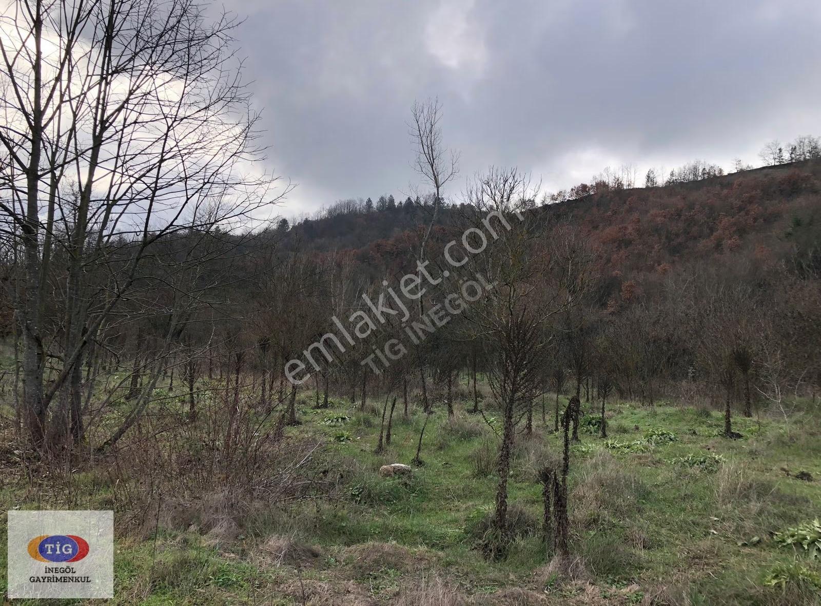 Yeniköyde Tigden Satılık Arazi - Görsel 7