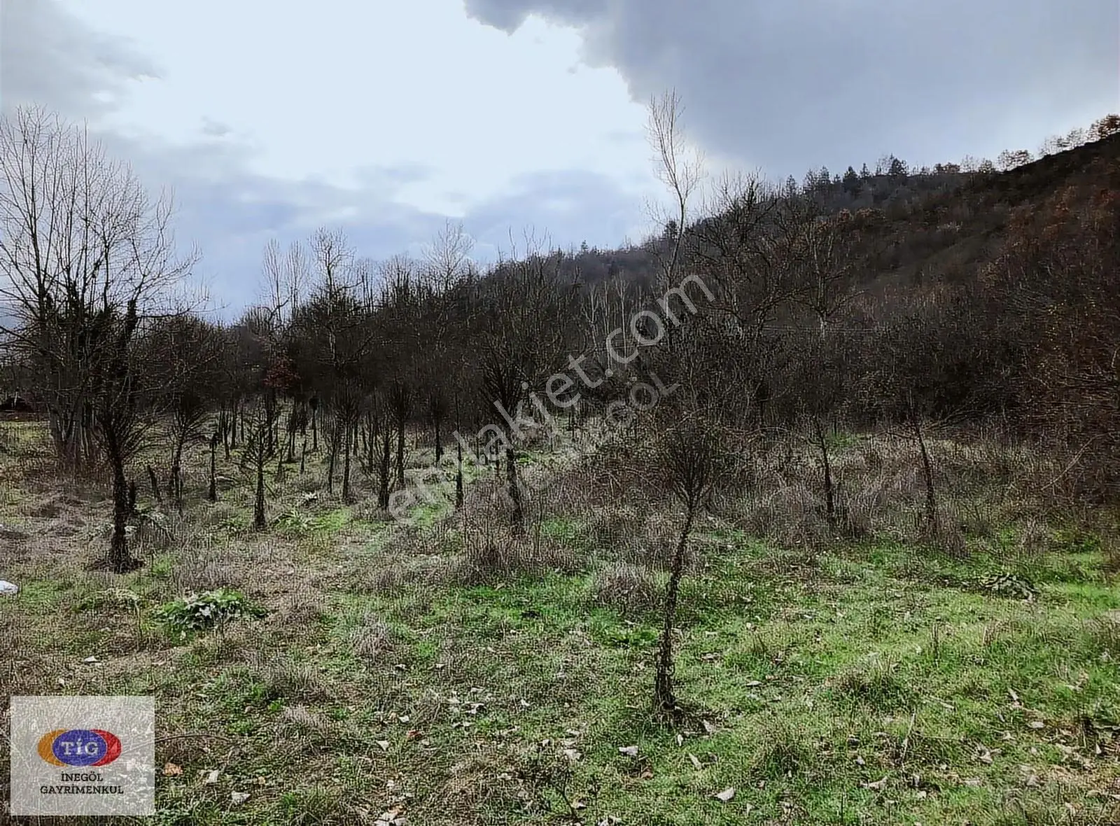 Yeniköyde Tigden Satılık Arazi