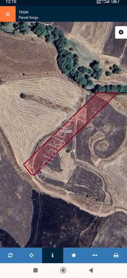 Karakoçan Bulgurcuk (yığ) Köyünde Satılık Fırsat Tarla