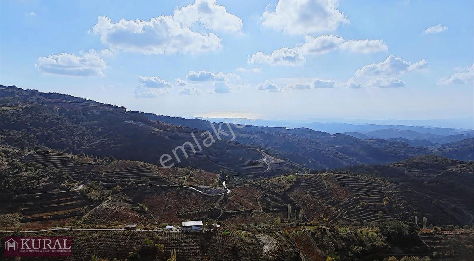 Deniz Manzaralı İzmir Menderes Efemçukurunda 1420m2 Konut İmarlı - Görsel 24