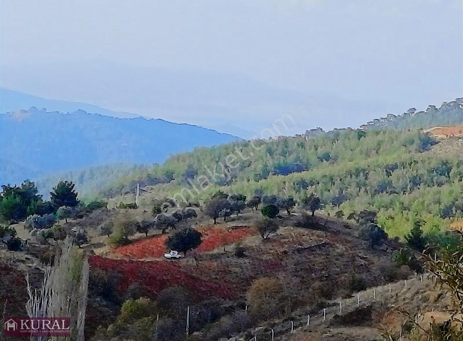 Deniz Manzaralı İzmir Menderes Efemçukurunda 1420m2 Konut İmarlı - Görsel 9