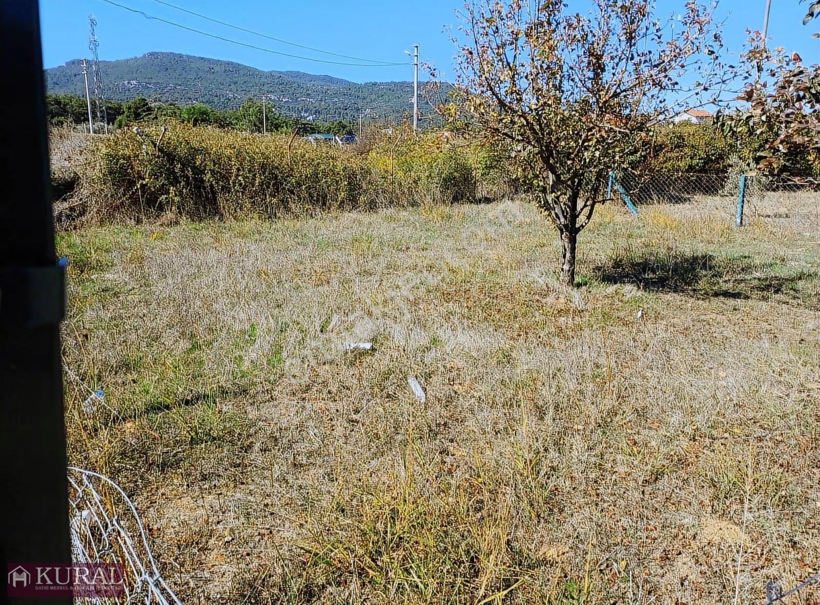 Anayol Üstünde 255 M2 Hisseli Elektrik Su Site Menderes İzmir - Görsel 17