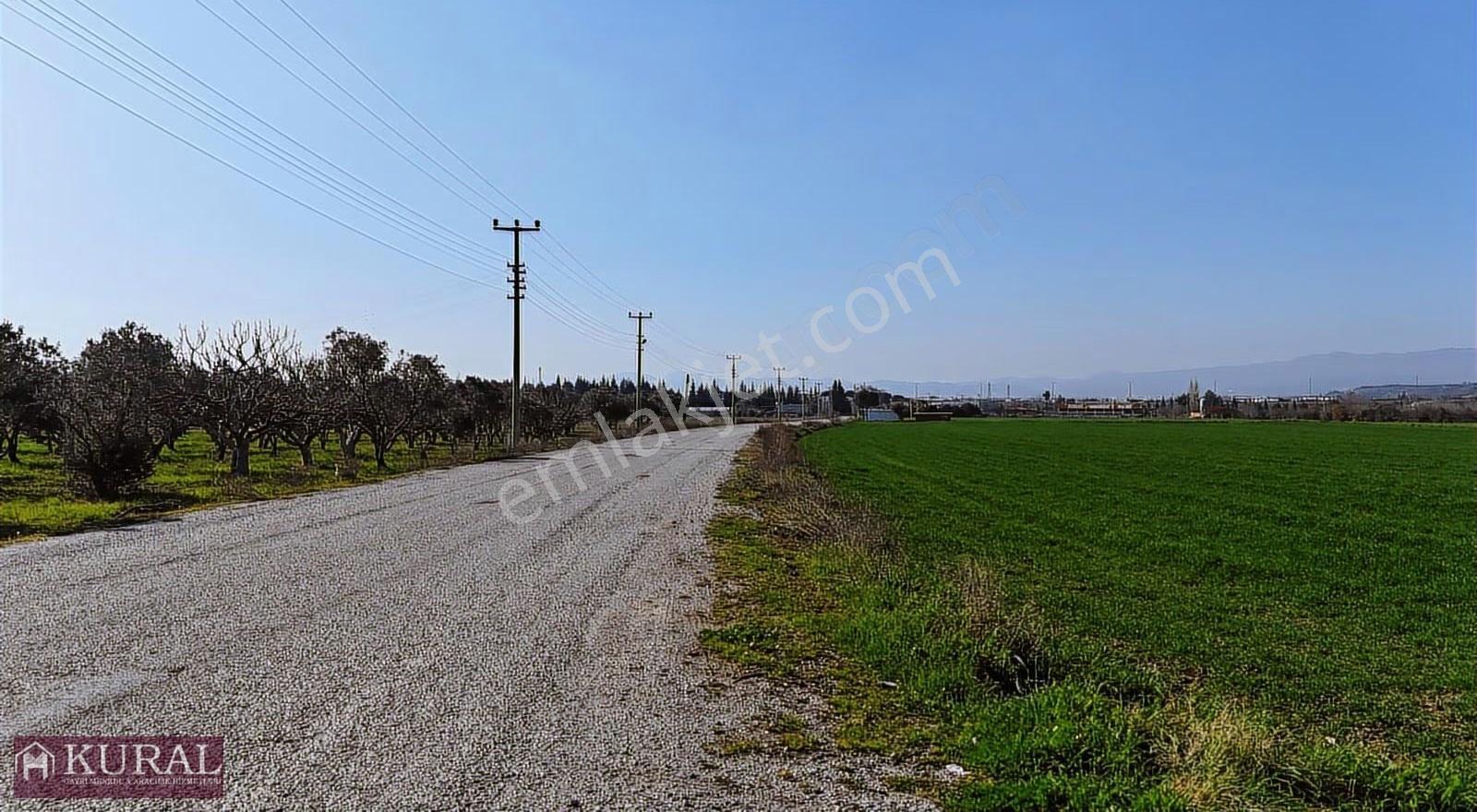 İzmir Buca Karacaağaçda Köşe 6562m2 Tarla Kupon Yerde Hisse Tapu - Görsel 20