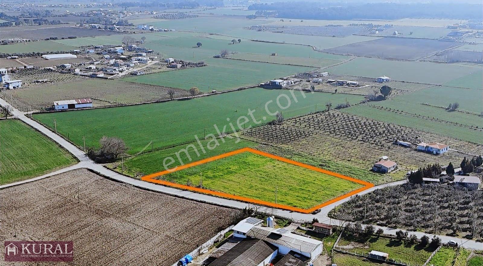 İzmir Buca Karacaağaçda Köşe 6562m2 Tarla Kupon Yerde Hisse Tapu - Görsel 25