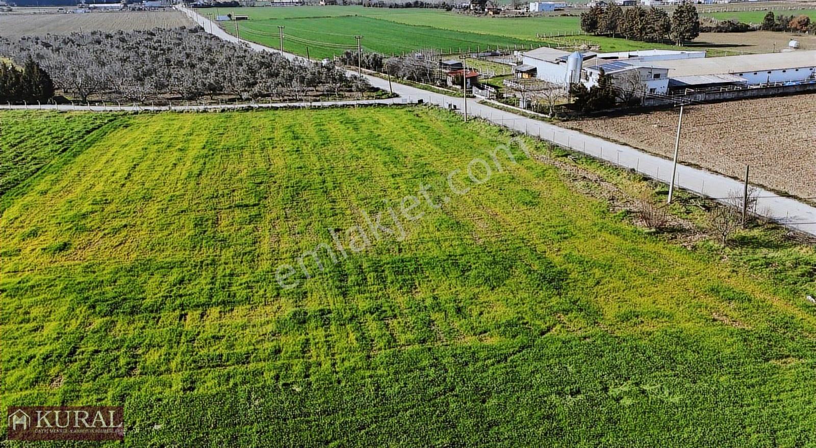 İzmir Buca Karacaağaçda Köşe 6562m2 Tarla Kupon Yerde Hisse Tapu - Görsel 29