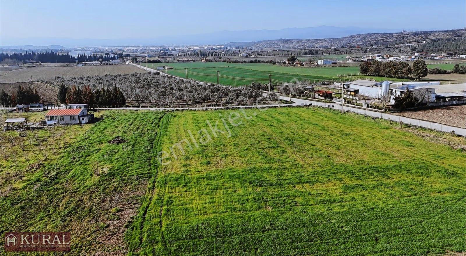 İzmir Buca Karacaağaçda Köşe 6562m2 Tarla Kupon Yerde Hisse Tapu - Görsel 15
