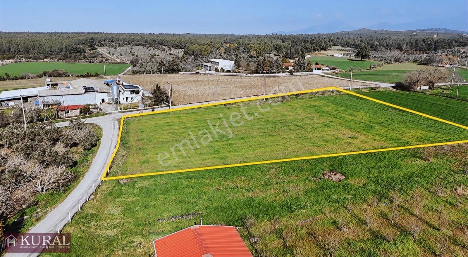 İzmir Buca Karacaağaçda Köşe 6562m2 Tarla Kupon Yerde Hisse Tapu - Görsel 8