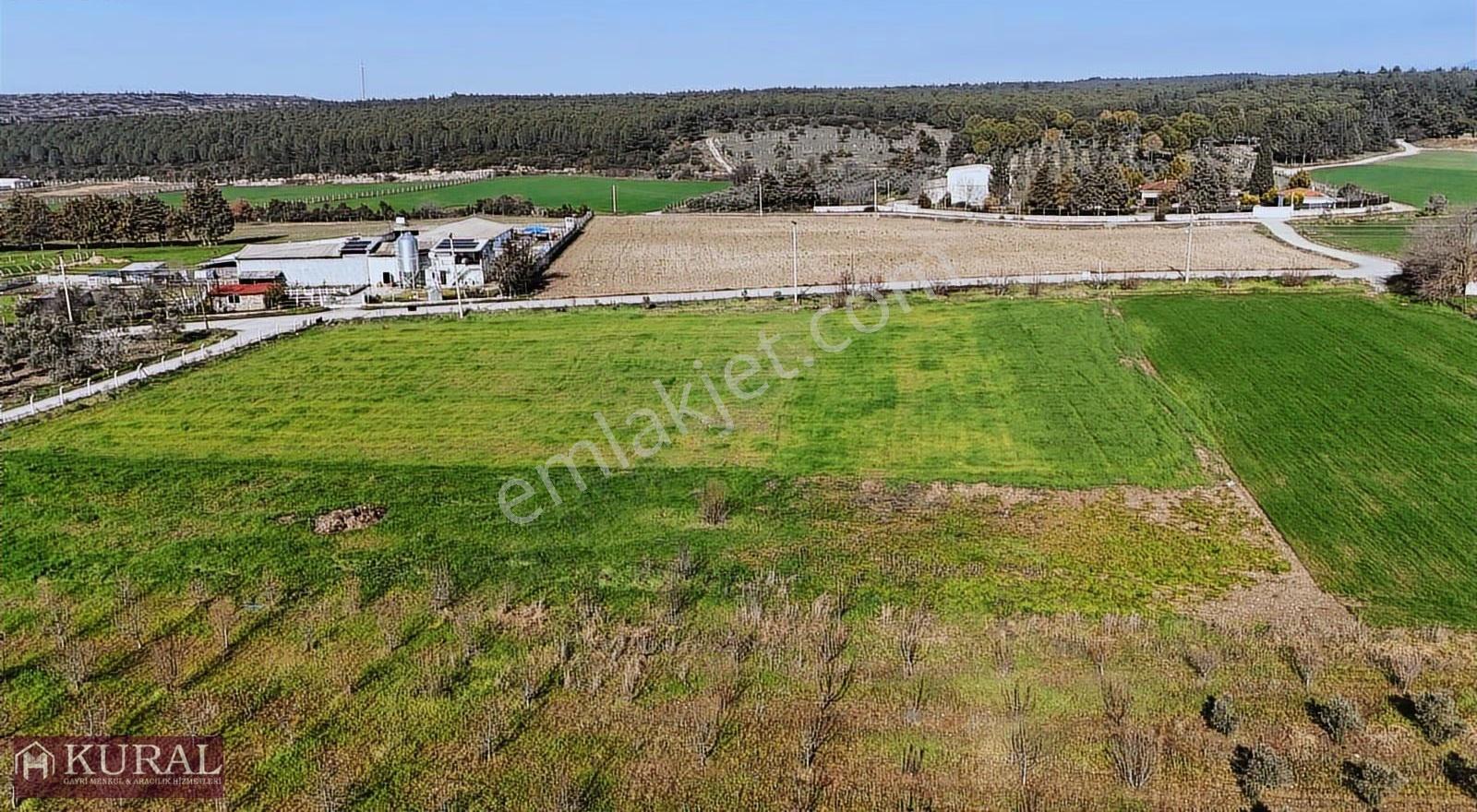 İzmir Buca Karacaağaçda Köşe 6562m2 Tarla Kupon Yerde Hisse Tapu - Görsel 27