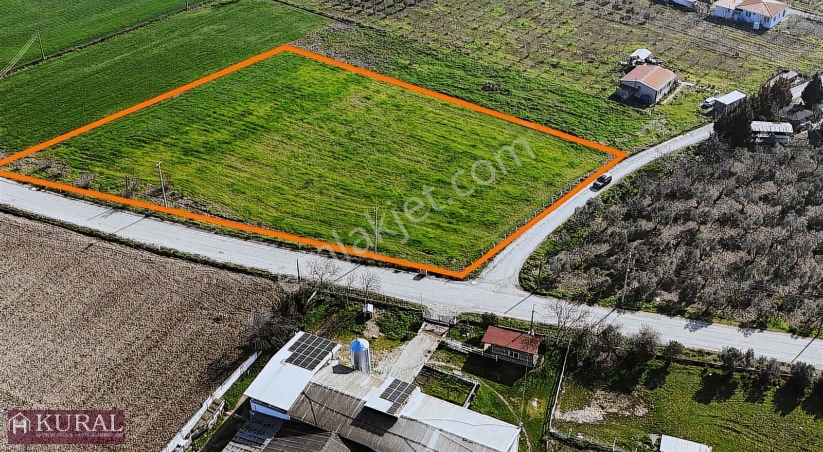 İzmir Buca Karacaağaçda Köşe 6562m2 Tarla Kupon Yerde Hisse Tapu - Görsel 7