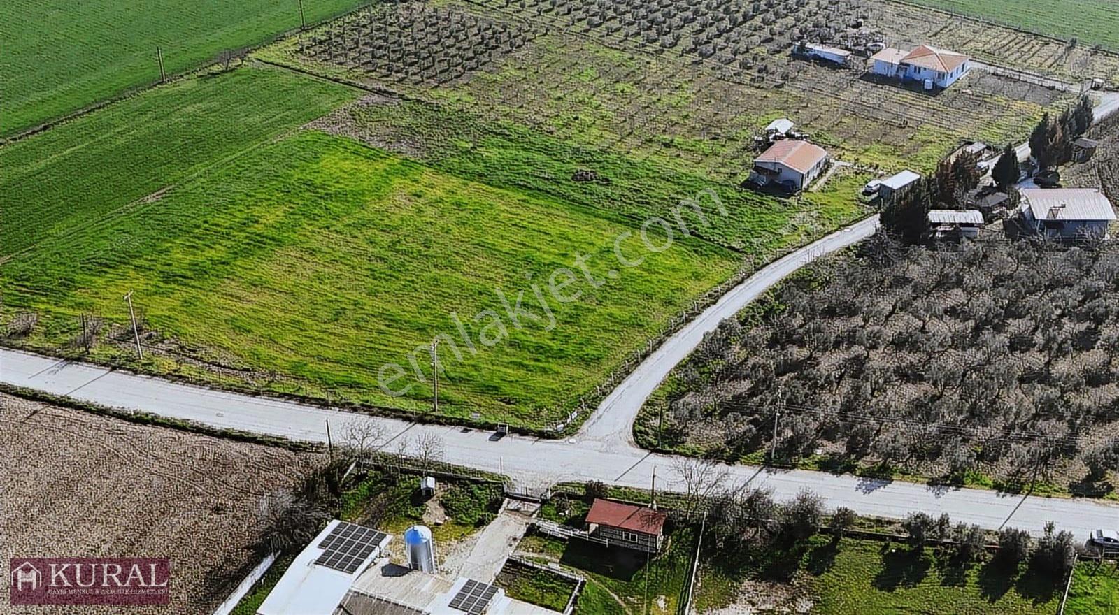 İzmir Buca Karacaağaçda Köşe 6562m2 Tarla Kupon Yerde Hisse Tapu - Görsel 35