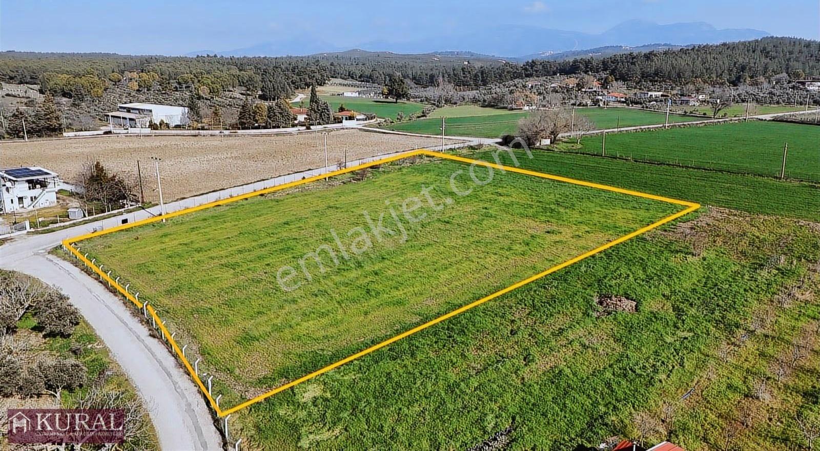 İzmir Buca Karacaağaçda Köşe 6562m2 Tarla Kupon Yerde Hisse Tapu - Görsel 31