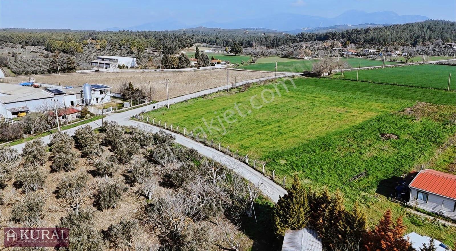 İzmir Buca Karacaağaçda Köşe 6562m2 Tarla Kupon Yerde Hisse Tapu - Görsel 12