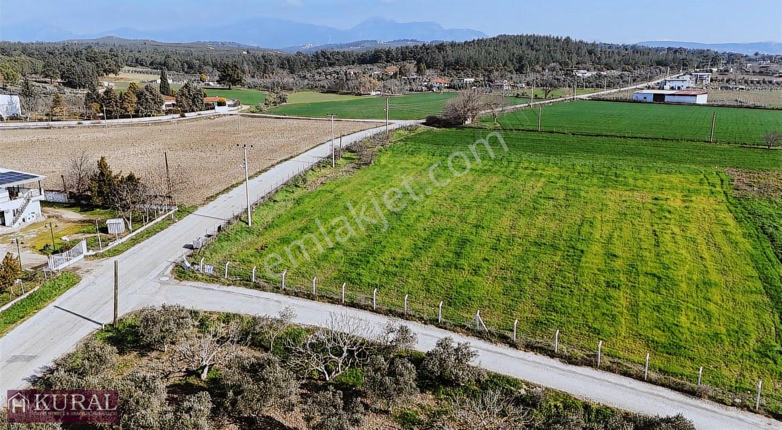 İzmir Buca Karacaağaçda Köşe 6562m2 Tarla Kupon Yerde Hisse Tapu - Görsel 18