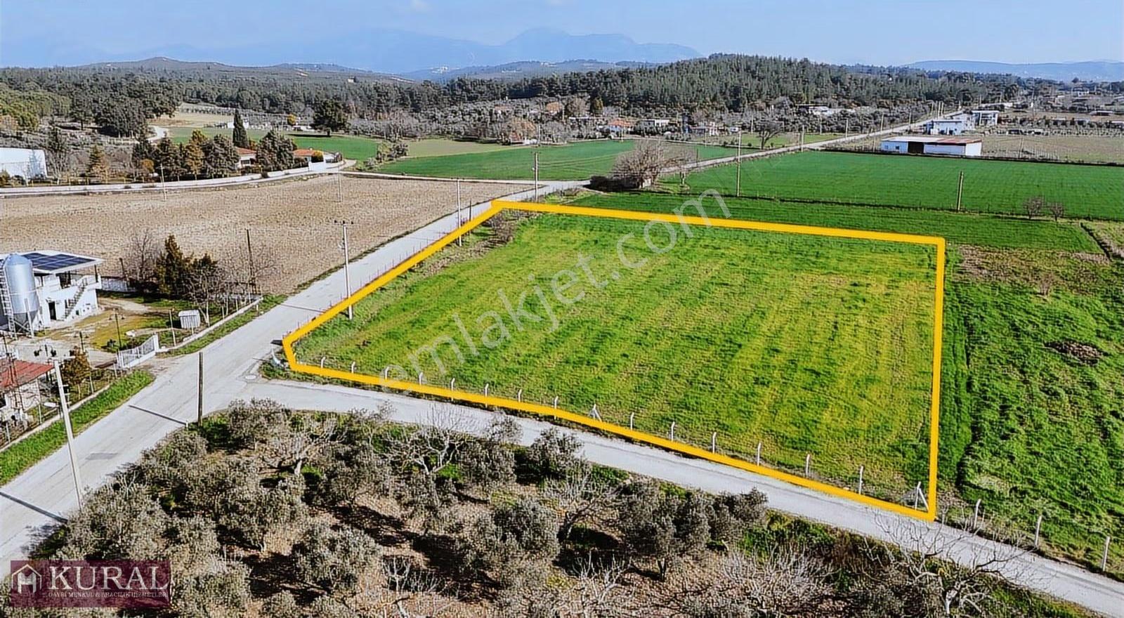 İzmir Buca Karacaağaçda Köşe 6562m2 Tarla Kupon Yerde Hisse Tapu - Görsel 2