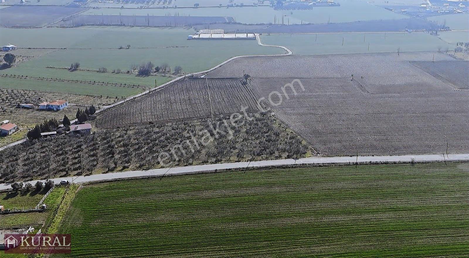 İzmir Buca Karacaağaçda Köşe 6562m2 Tarla Kupon Yerde Hisse Tapu - Görsel 26