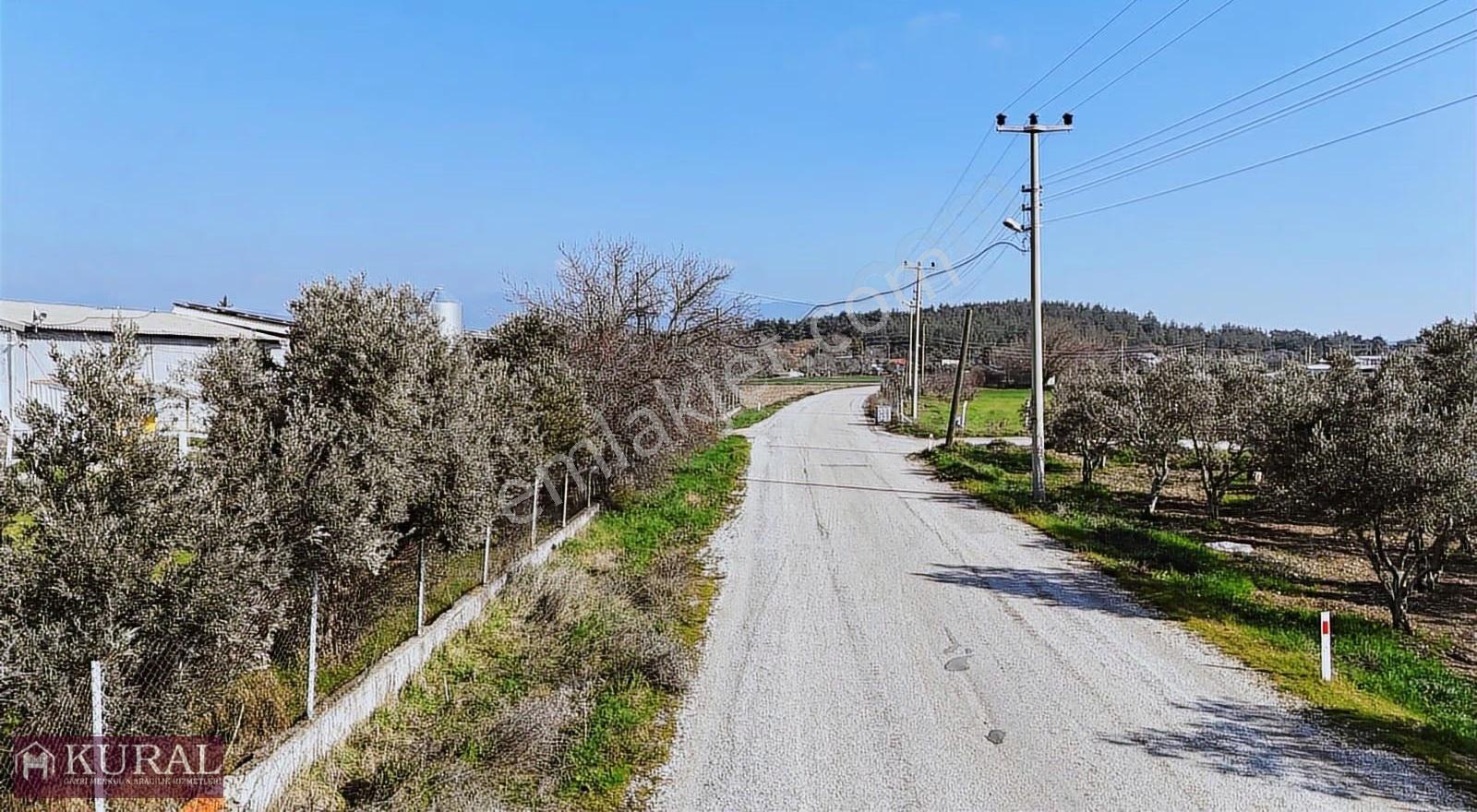İzmir Buca Karacaağaçda Köşe 6562m2 Tarla Kupon Yerde Hisse Tapu - Görsel 23