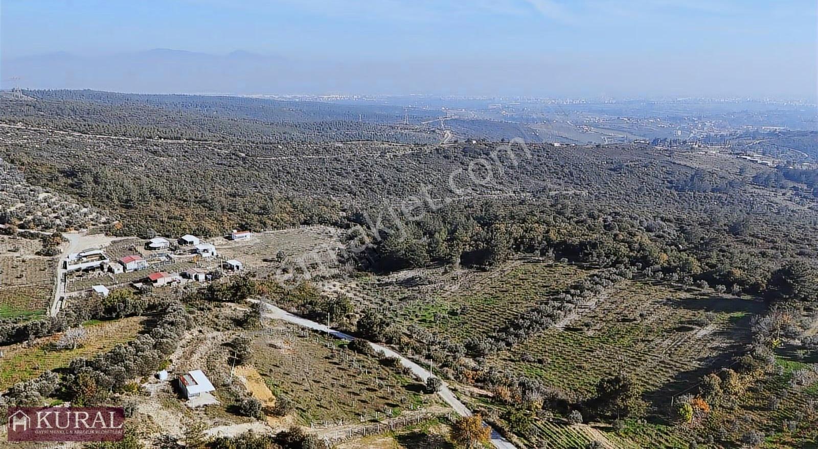 İzmir Menderes Çatalcada Elektrik Sulu Tapudan Satışlı Bahçeler - Görsel 31