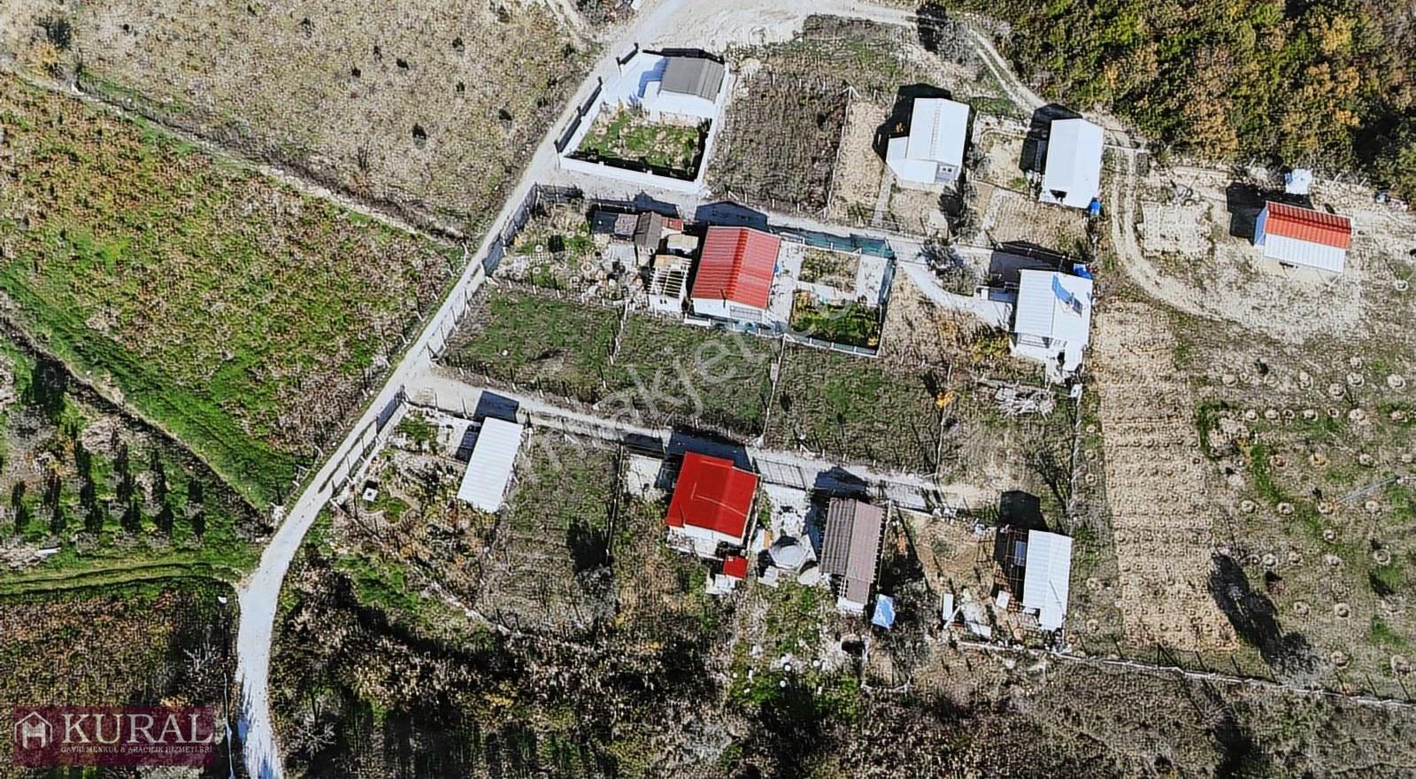 İzmir Menderes Çatalcada Elektrik Sulu Tapudan Satışlı Bahçeler - Görsel 30