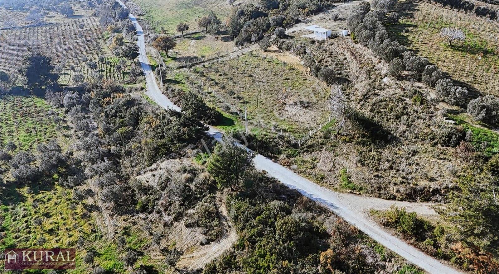 İzmir Menderes Çatalcada Elektrik Sulu Tapudan Satışlı Bahçeler - Görsel 17