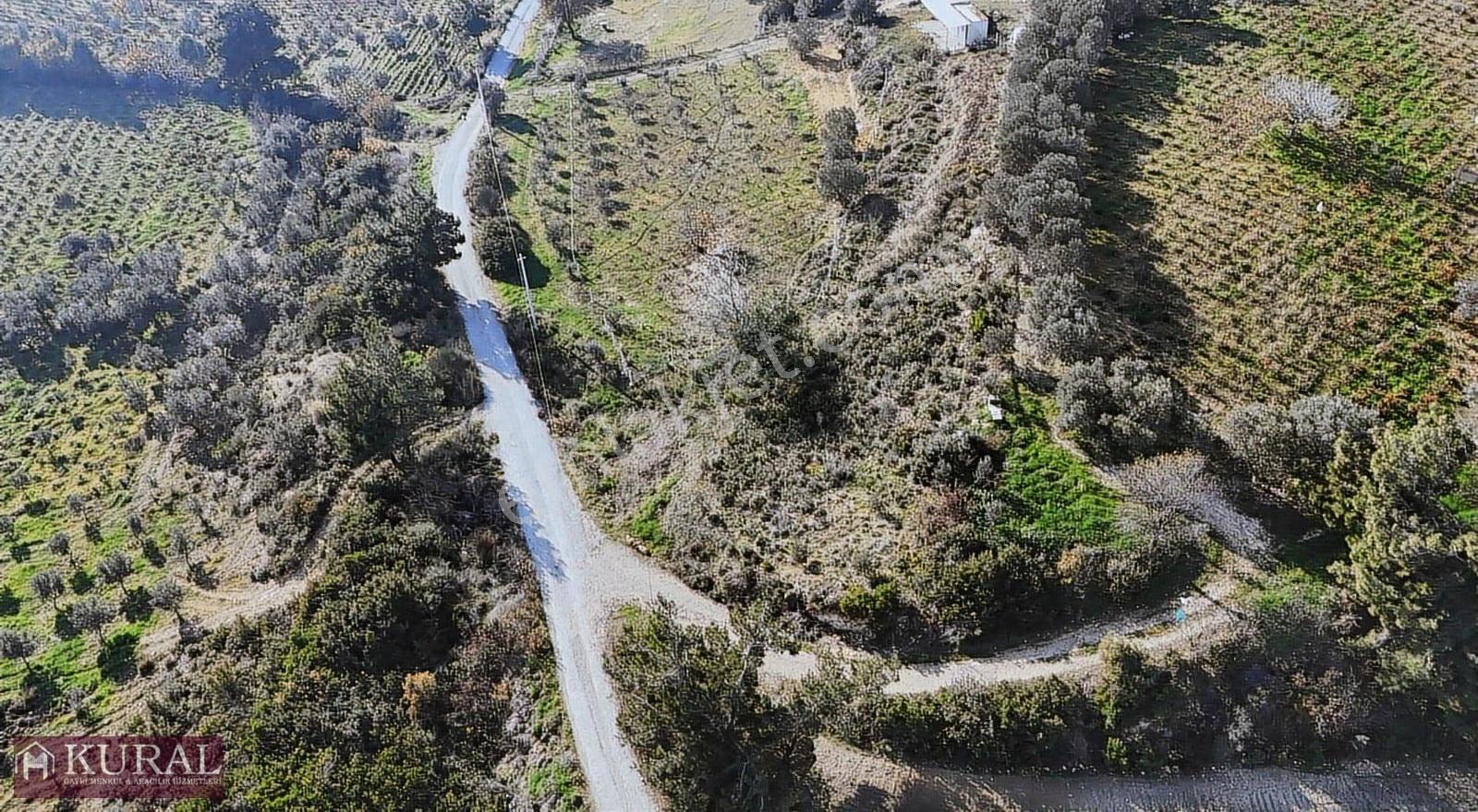 İzmir Menderes Çatalcada Elektrik Sulu Tapudan Satışlı Bahçeler - Görsel 8