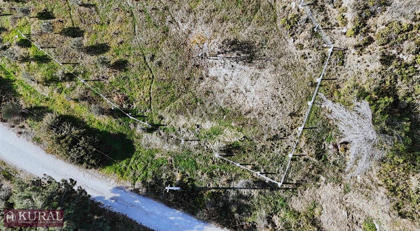 İzmir Menderes Çatalcada Elektrik Sulu Tapudan Satışlı Bahçeler - Görsel 16