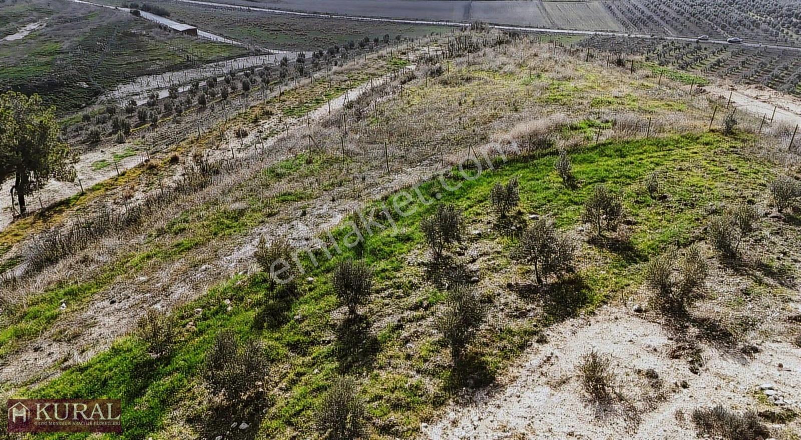 İzmir Menderes Tekeli 3 Ada 37 Parselde Manzaralı Tepe Arsalar - Görsel 29