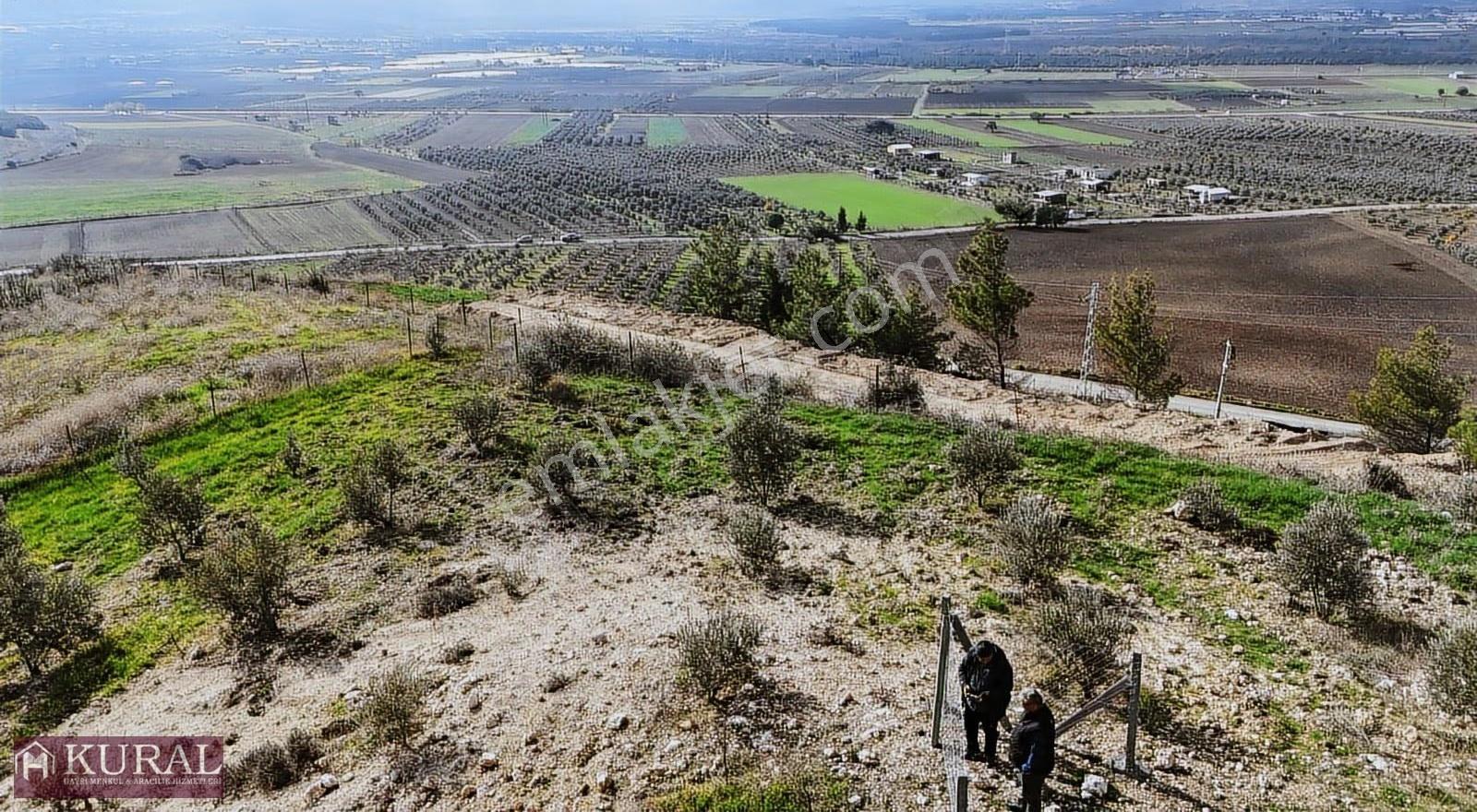 İzmir Menderes Tekeli 3 Ada 37 Parselde Manzaralı Tepe Arsalar - Görsel 31